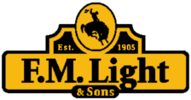 FM Light Logo