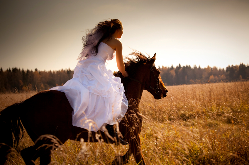 Bride On Horse