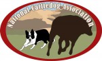 National Cattledog Association (NCA) Logo - Visit their Website!