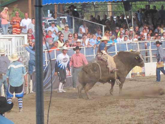 Steamboat Springs Pro Rodeo: Bull Rider